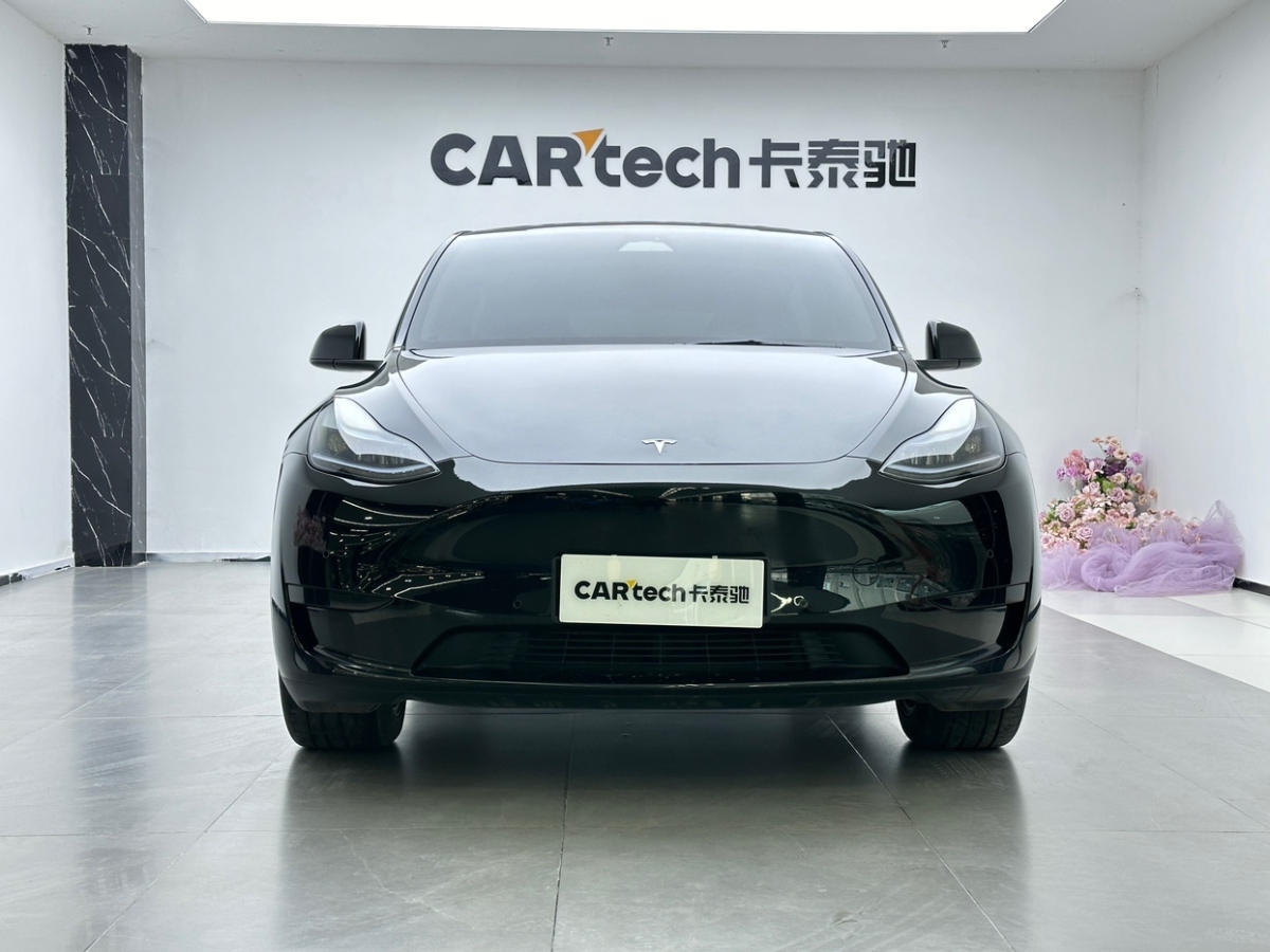 Tesla Model Y 2023 car image #2