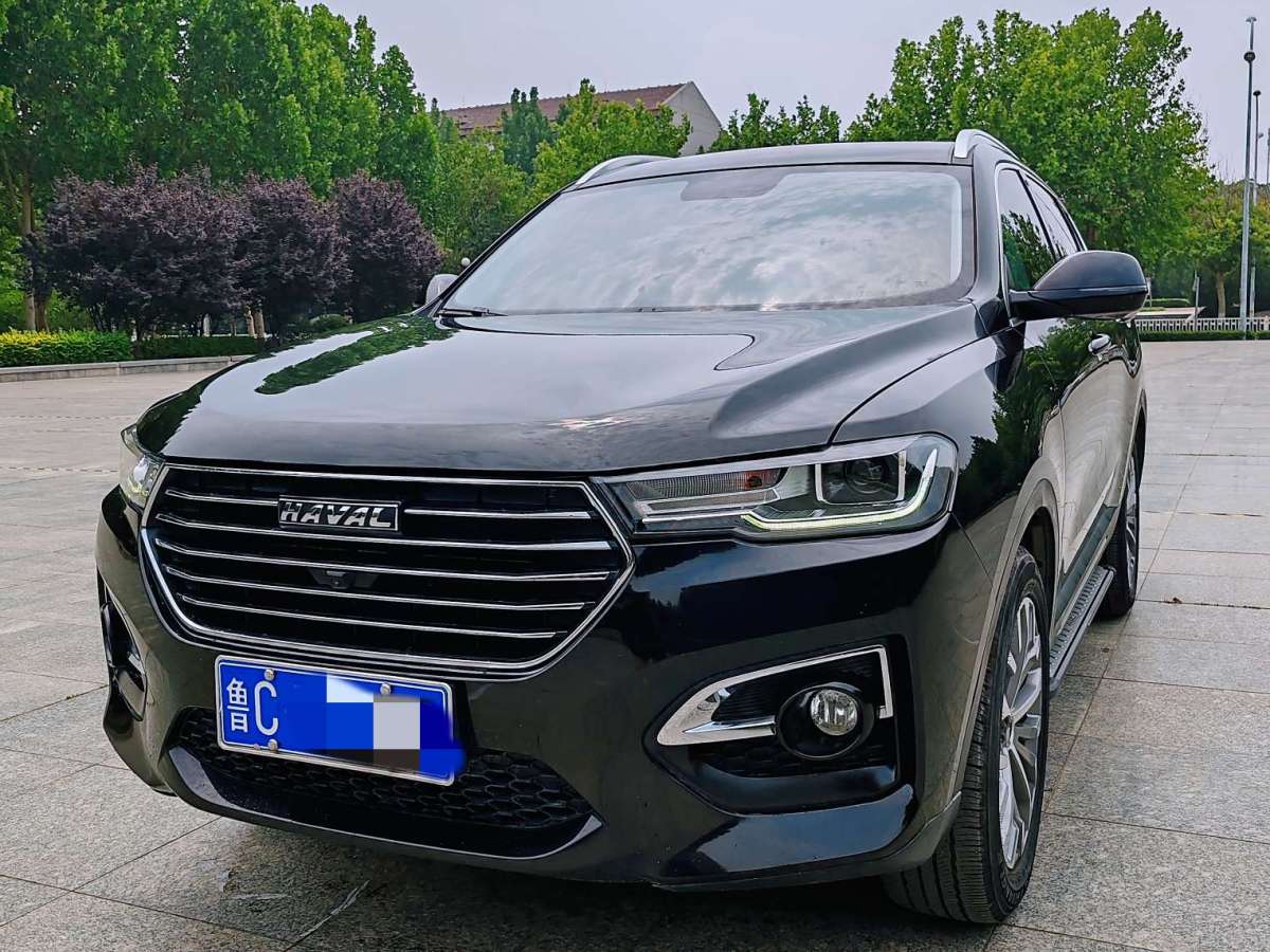 Haval 2019 car image #2