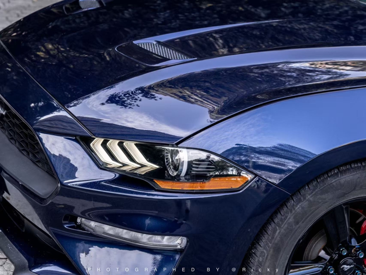 Ford 2019 #2 Ford 2019 car image #2