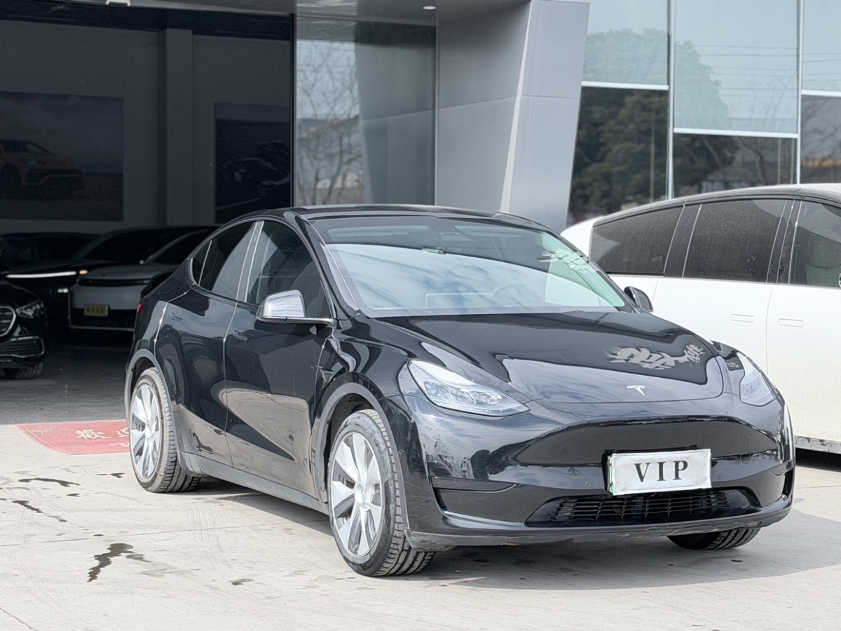 Tesla Model Y 2023 car image #2