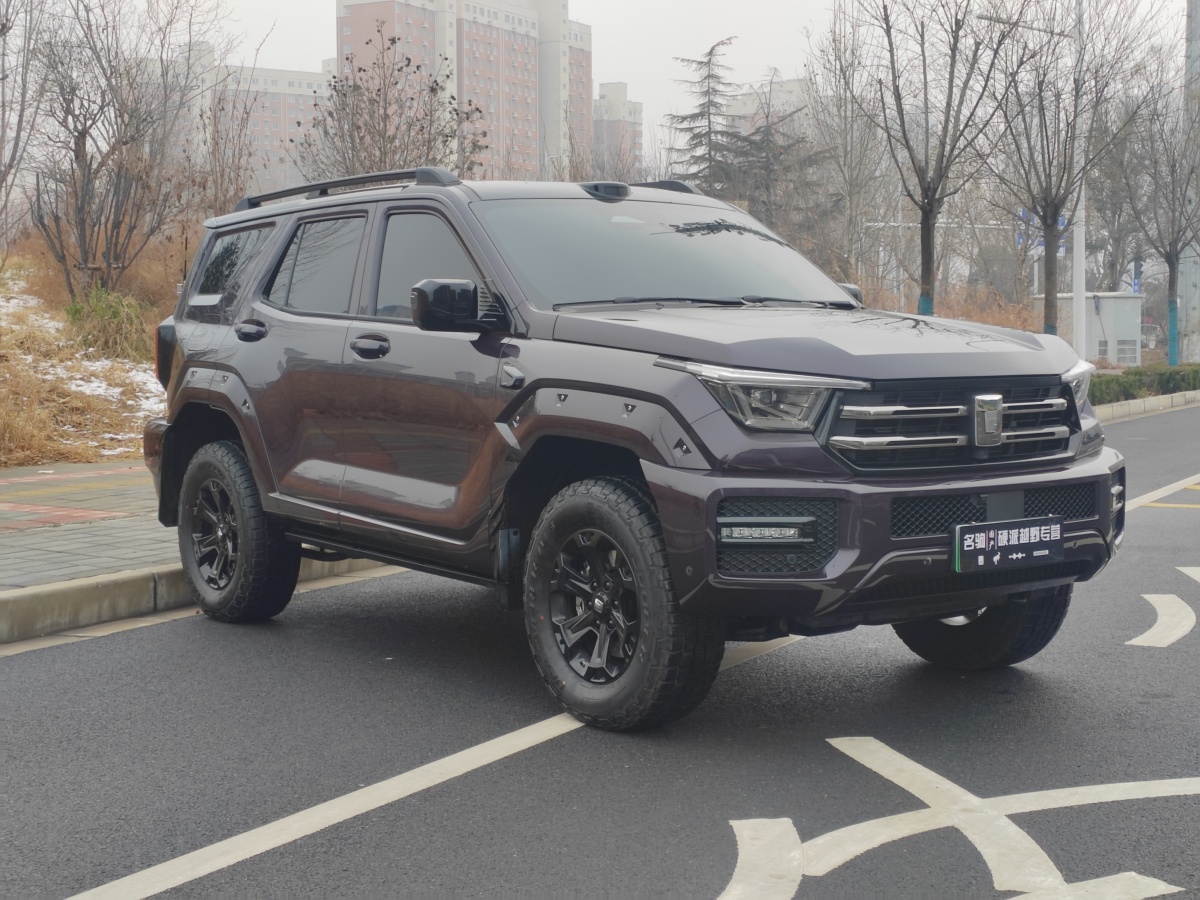 Tank 400 New Energy 2025 car image #2