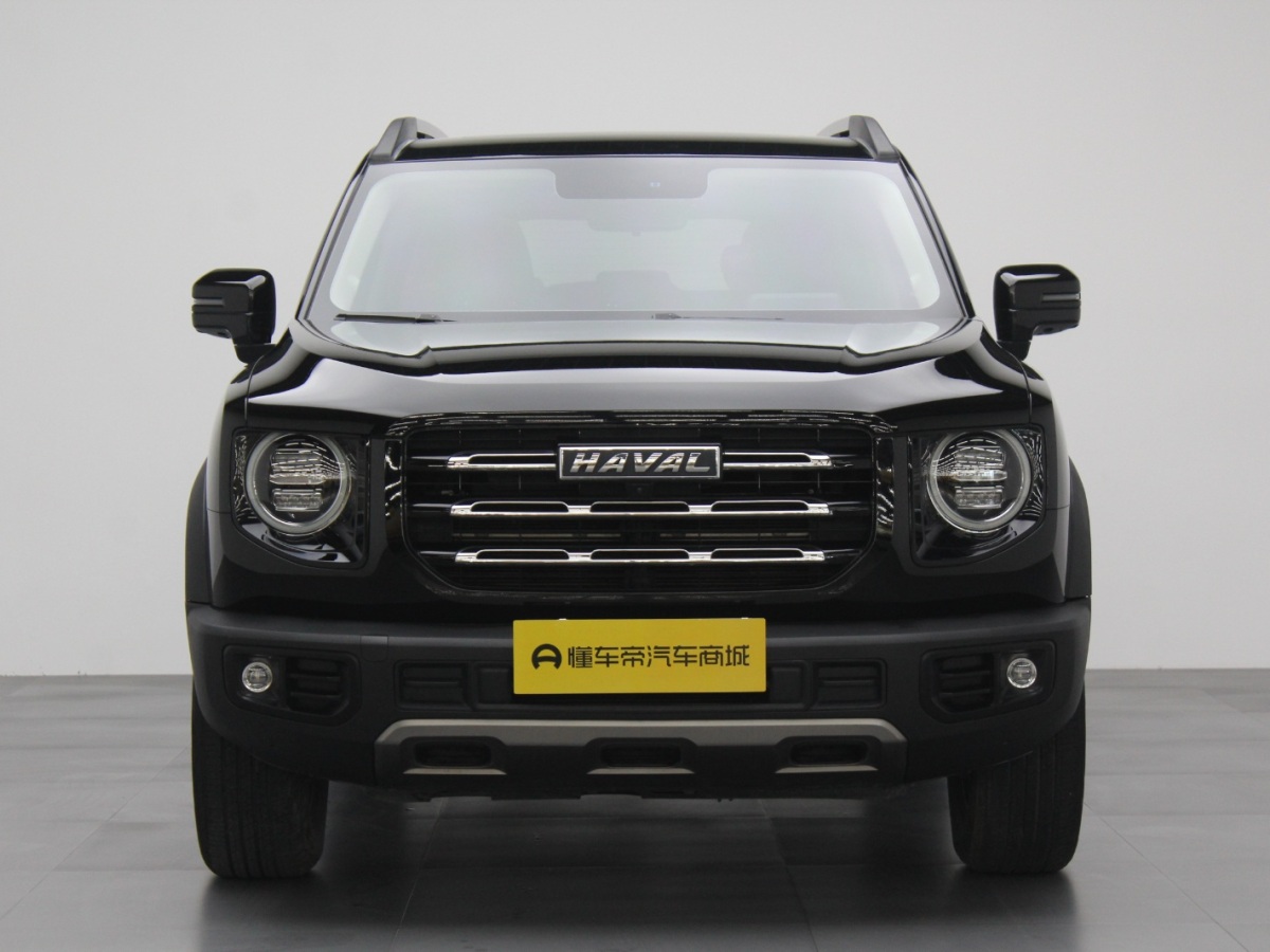Haval X Dog / Dargo 2022 #2 Haval X Dog / Dargo 2022 car image #2
