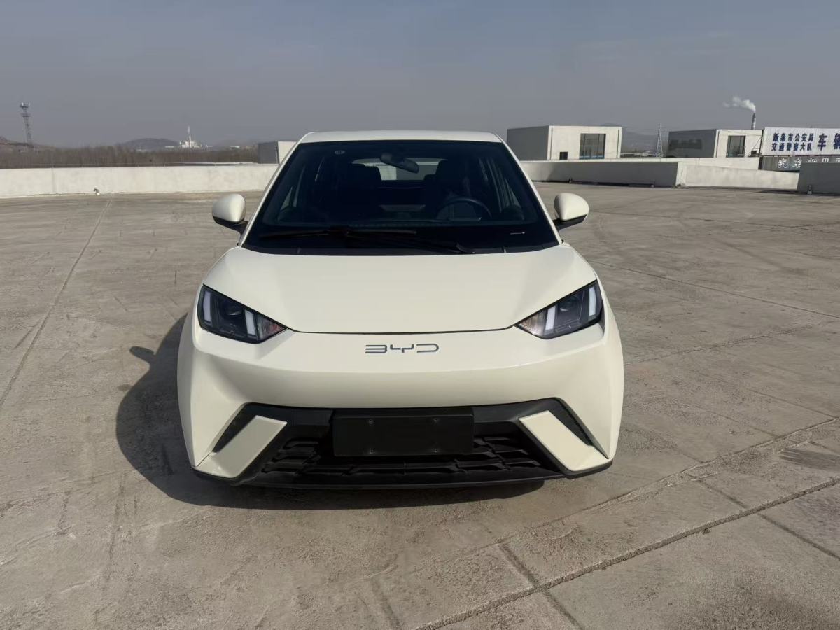 BYD Seagull 2024 imagen de coche #2