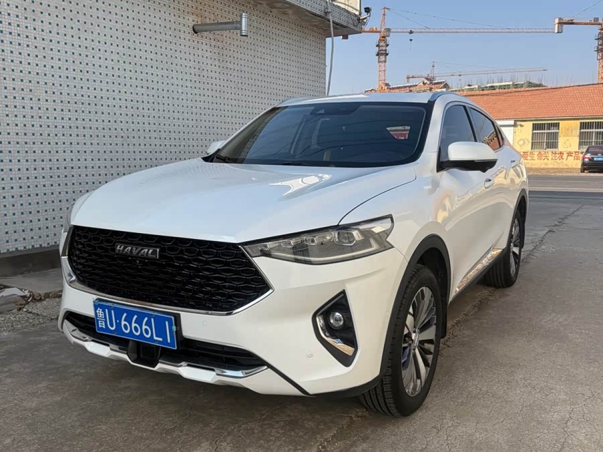 Haval F7x 2019 immagine di auto #2