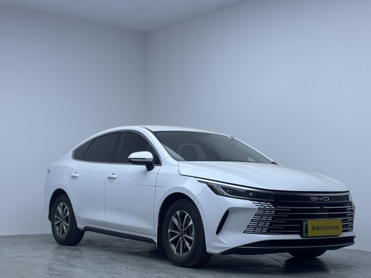 BYD Destroyer 05 2024 imagem de carro #2