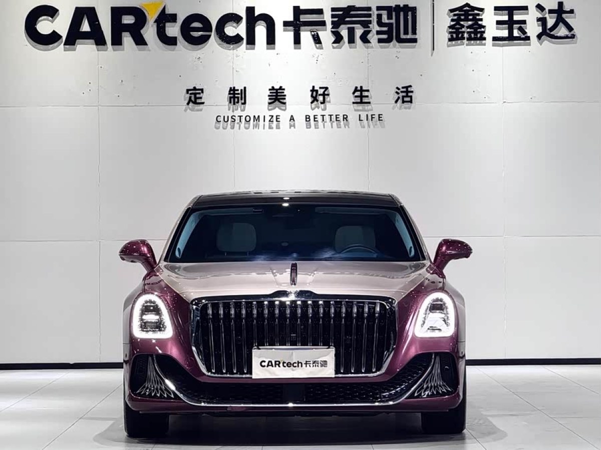 HongQi GuoYa 2024 car image #2