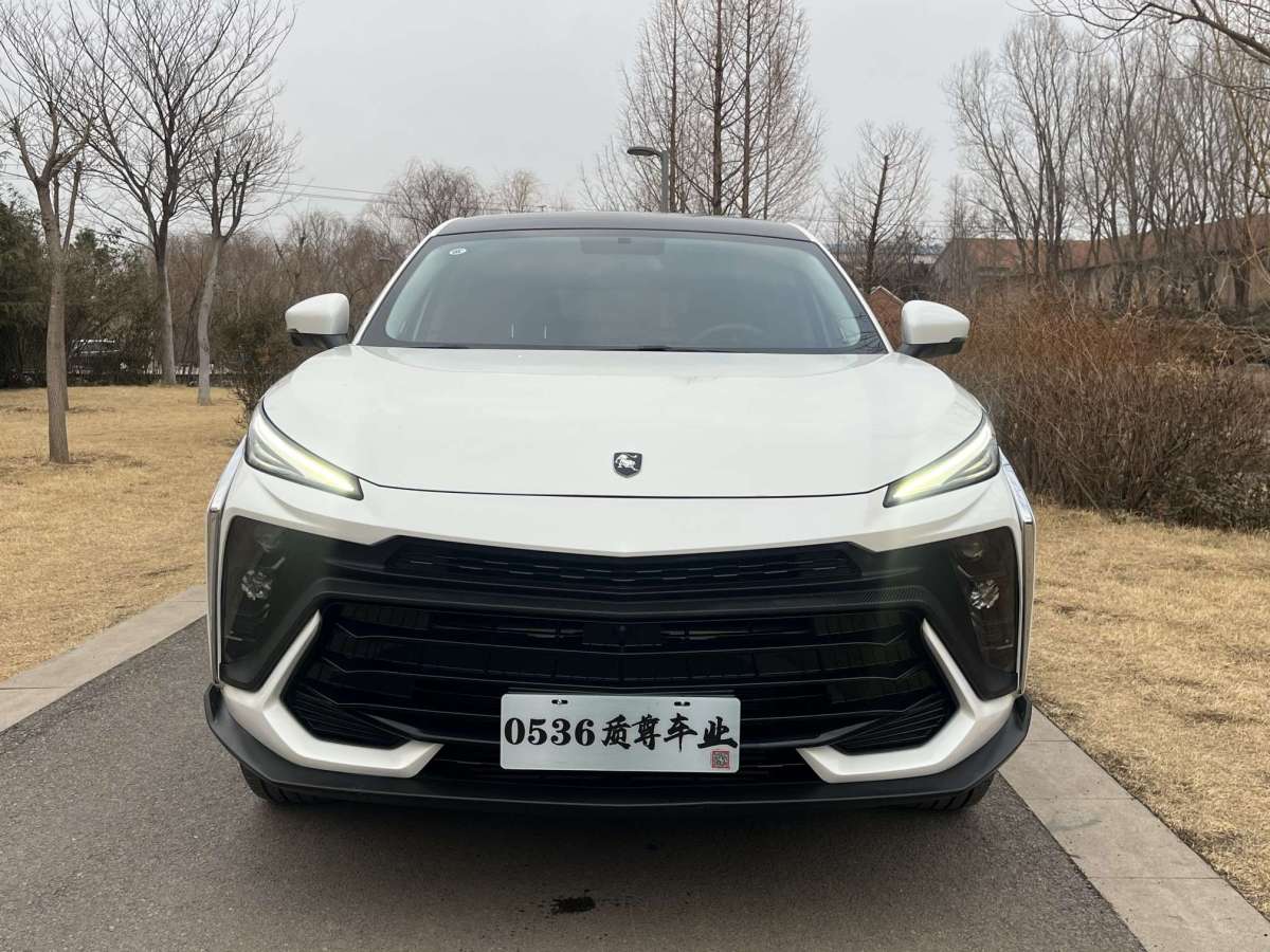 Forthing T5 EVO 2023 #2 Forthing T5 EVO 2023 car image #2