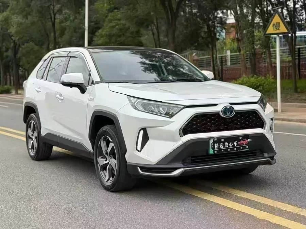 Toyota RAV4 Hybird E+ 2022 immagine di auto #2
