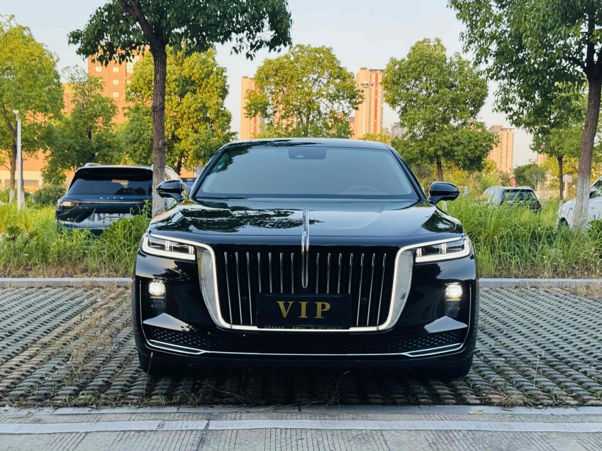 HongQi H9 2021 #2 HongQi H9 2021 immagine di auto #2
