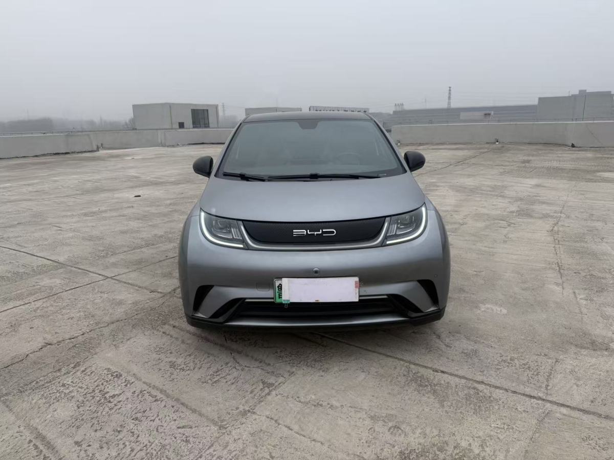 BYD Dolphin 2024 #2 BYD Dolphin 2024 immagine di auto #2