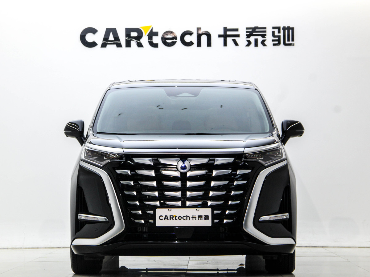 Denza D9 2025 car image #2