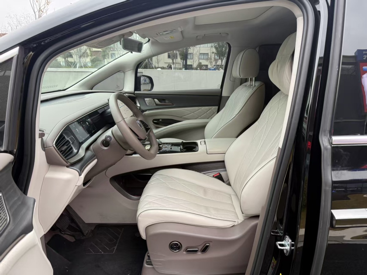 Denza D9 2023 immagine di auto #2