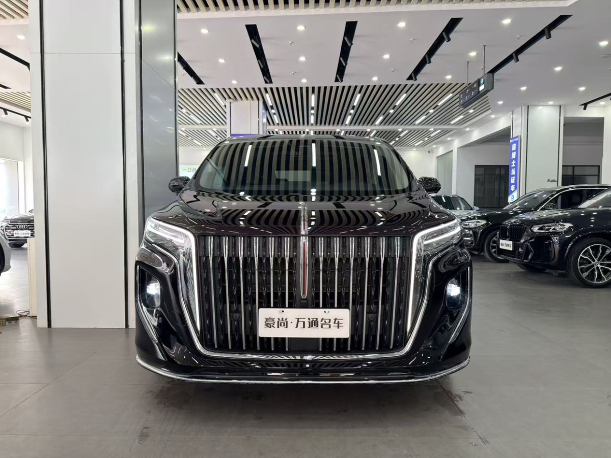 HongQi HQ9 PHEV 2024 #2 HongQi HQ9 PHEV 2024 car image #2