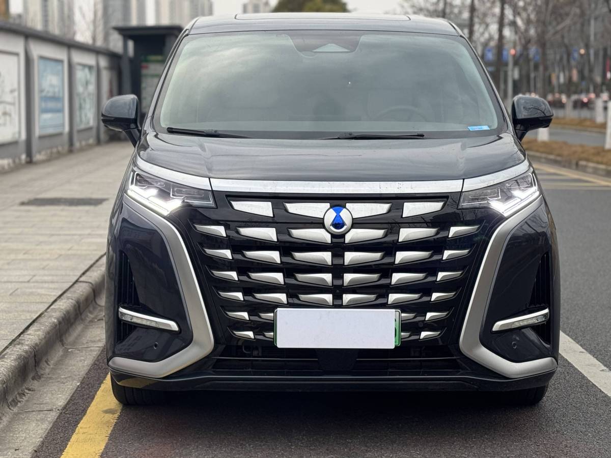 Denza D9 2023 car image #2