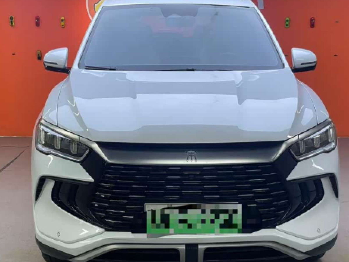 BYD Song Pro New Energy 2024 car image #2