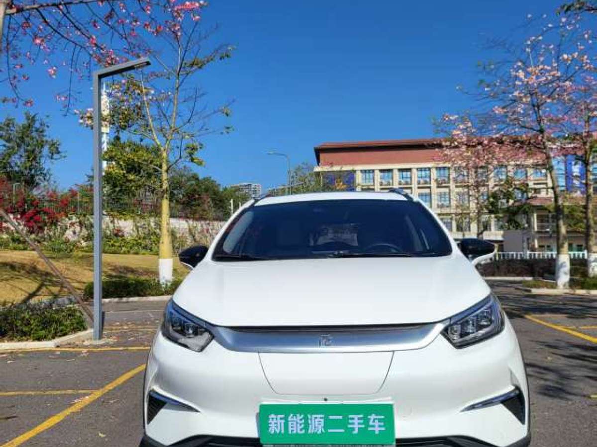 BYD Yuan Pro 2021 car image #2