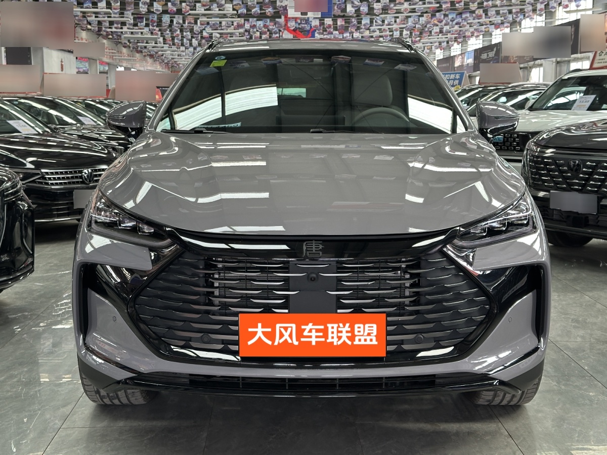BYD Tang New Energy 2026 car image #2