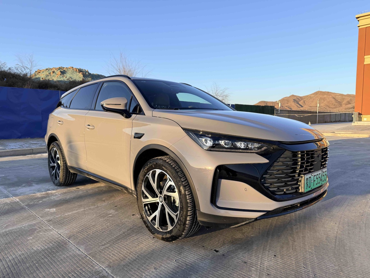 BYD Tang New Energy 2025 car image #2