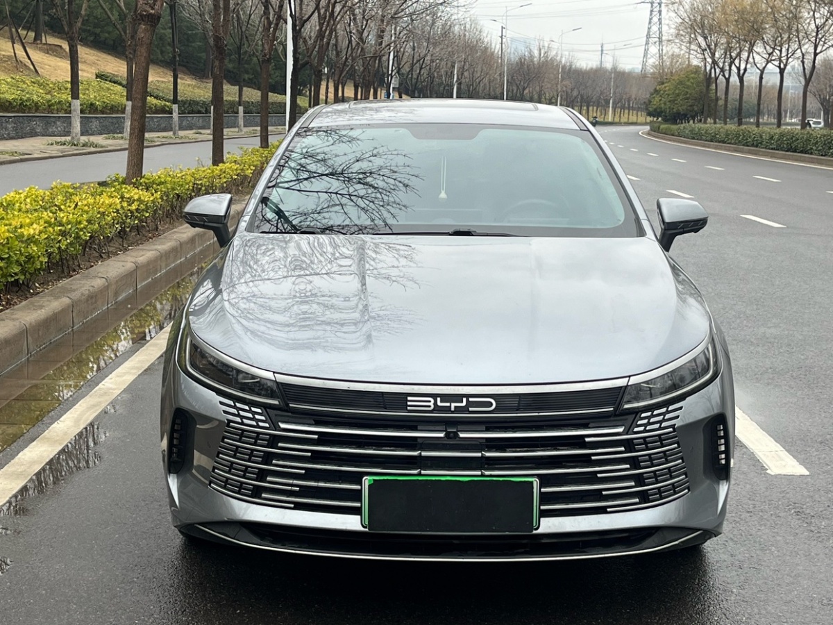 BYD Destroyer 05 2022 imagem de carro #2