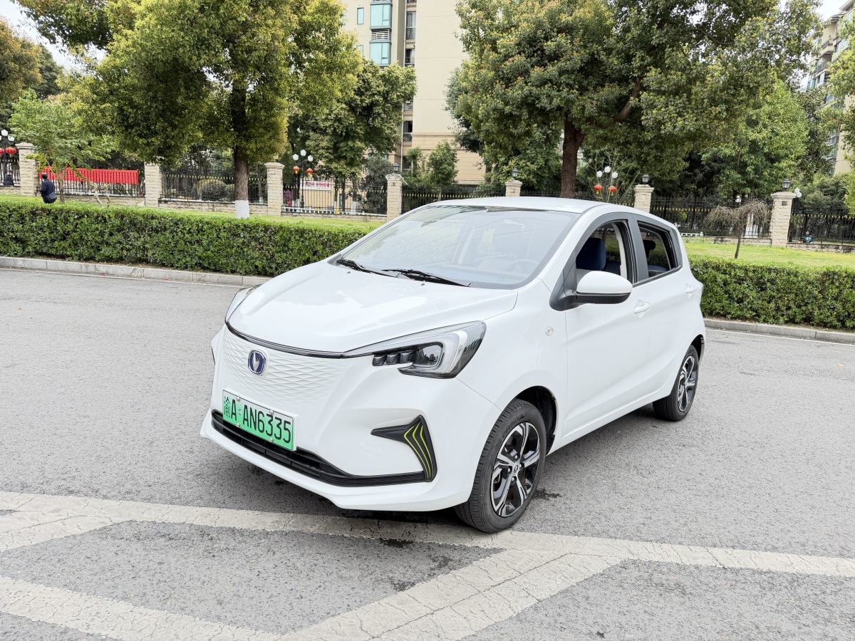 Changan BenBen E-Star 2024 imagen de coche #2