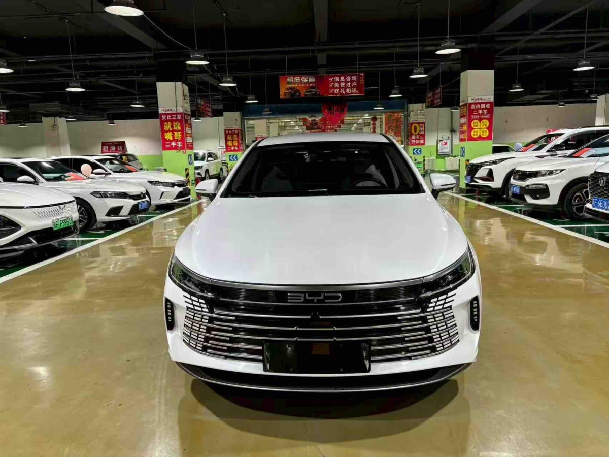 BYD Destroyer 05 2024 imagen de coche #2