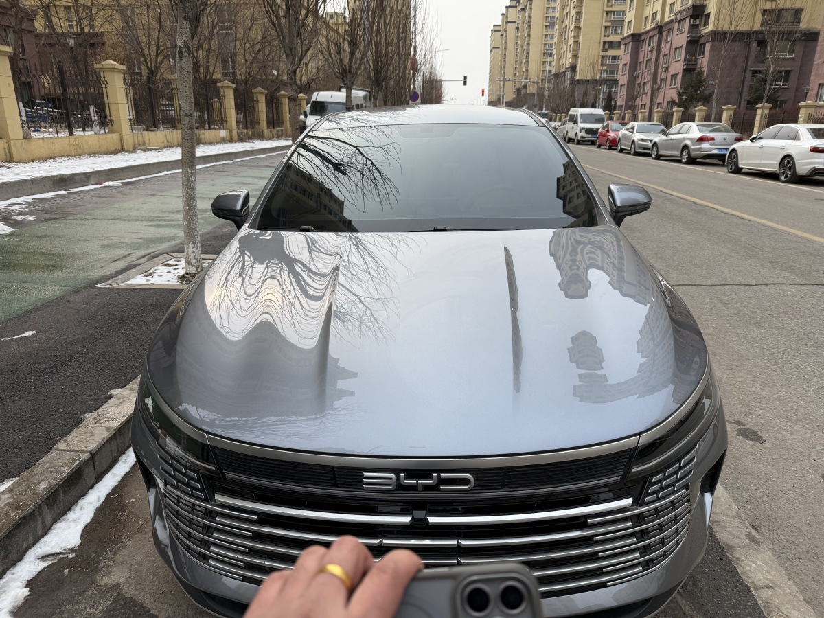 BYD Destroyer 05 2024 imagen de coche #2