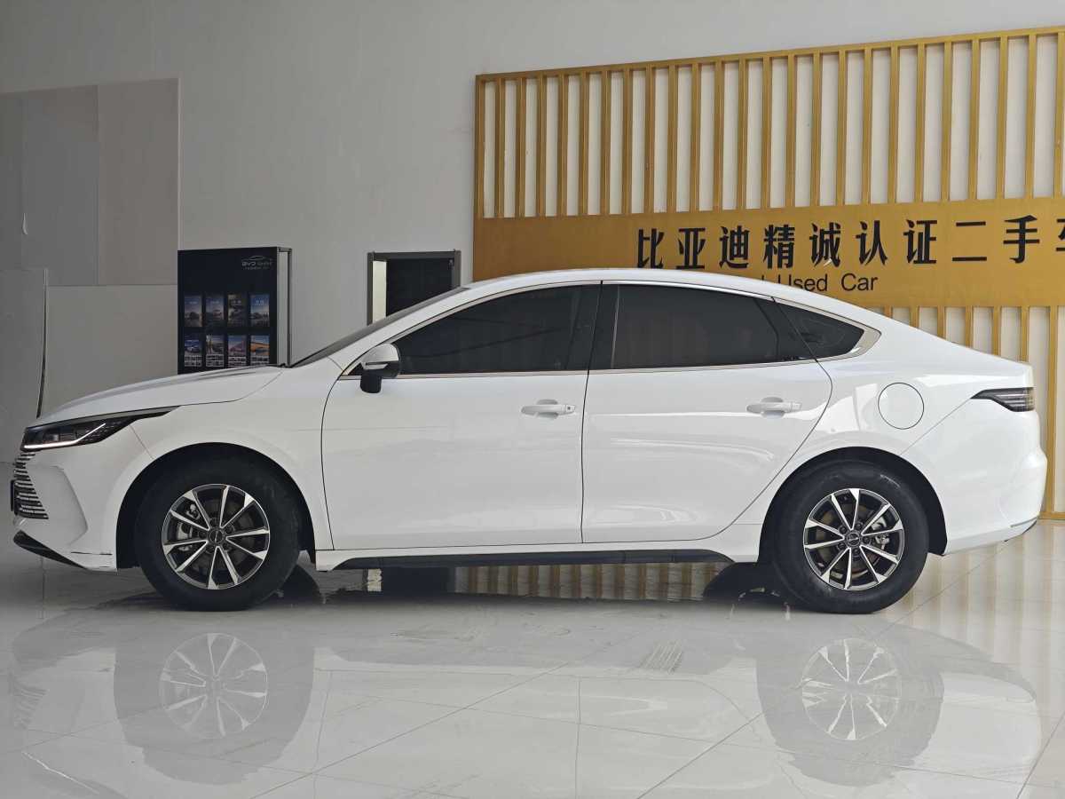BYD Destroyer 05 2024 imagen de coche #2