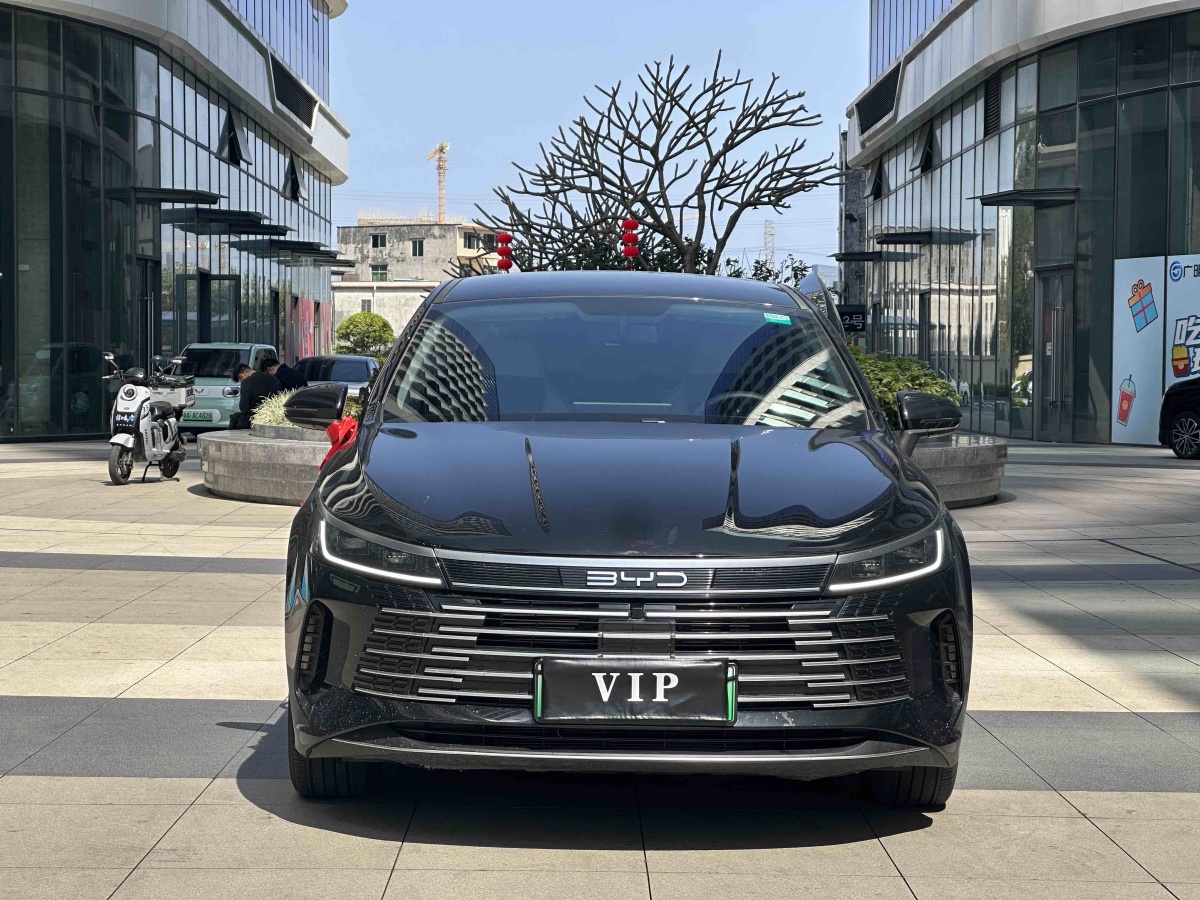 BYD Destroyer 05 2024 imagen de coche #2