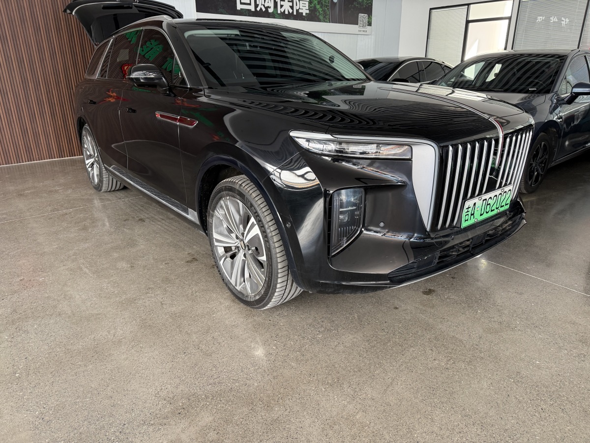 HongQi E-HS9 2023 изображение автомобиля #2