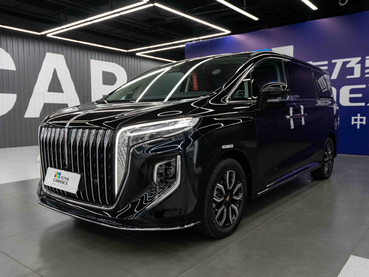 HongQi HQ9 2023 immagine di auto #2