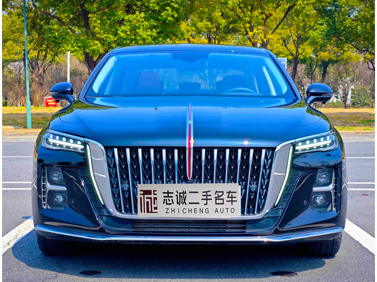 HongQi H5 2024 car image #2