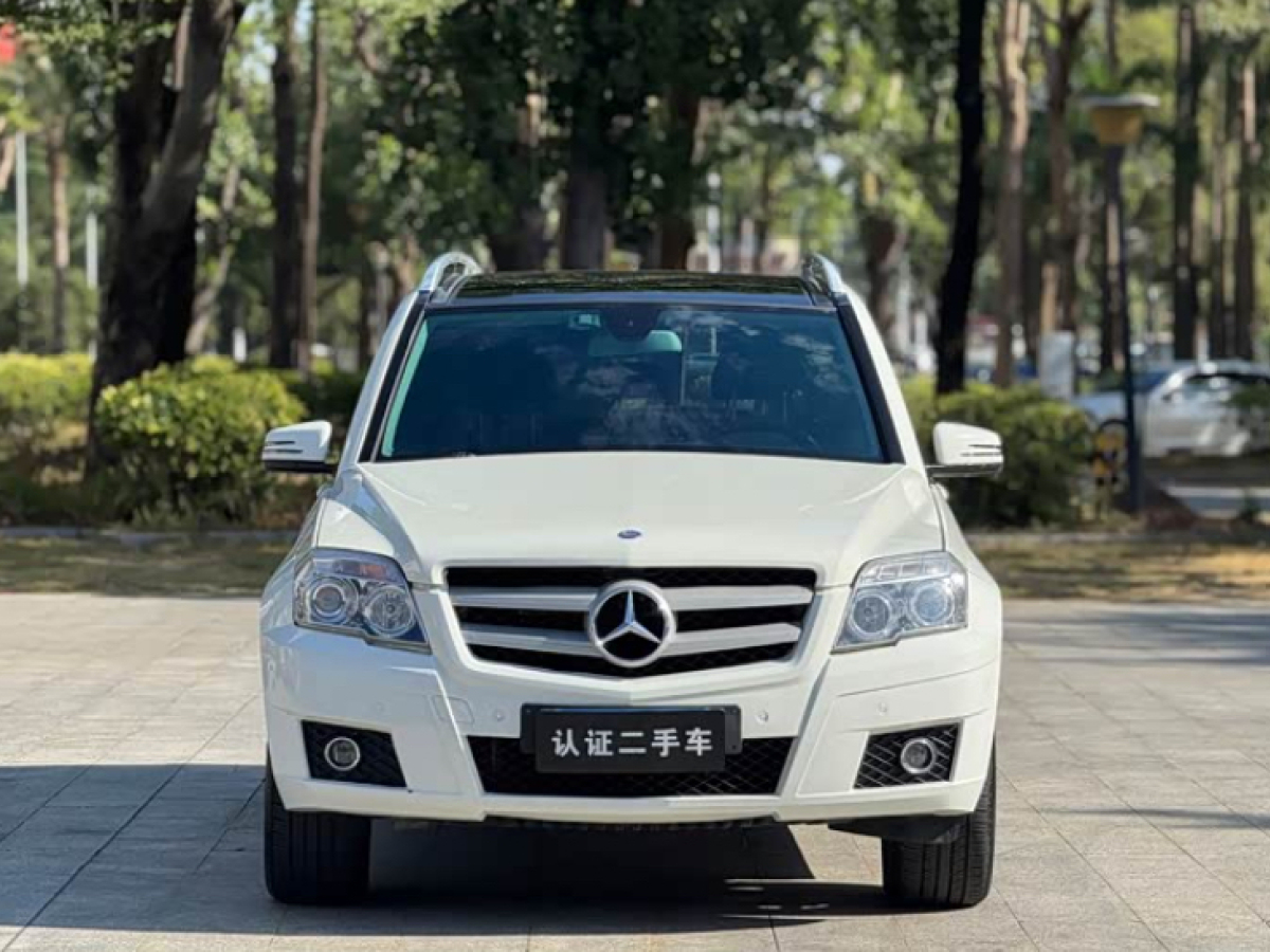 Mercedes-Benz GLK Class (Imported) 2010 car image #2