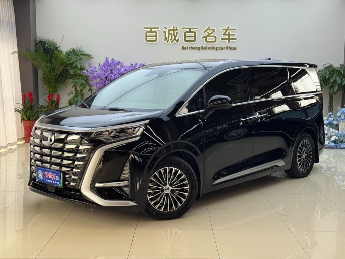 Denza D9 2023 image de voiture #2