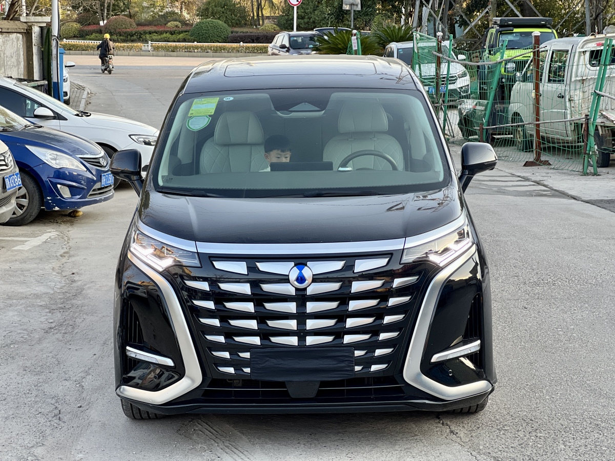 Denza D9 2023 image de voiture #2