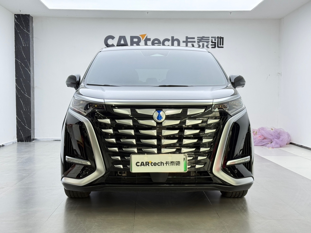 Denza D9 2024 immagine di auto #2