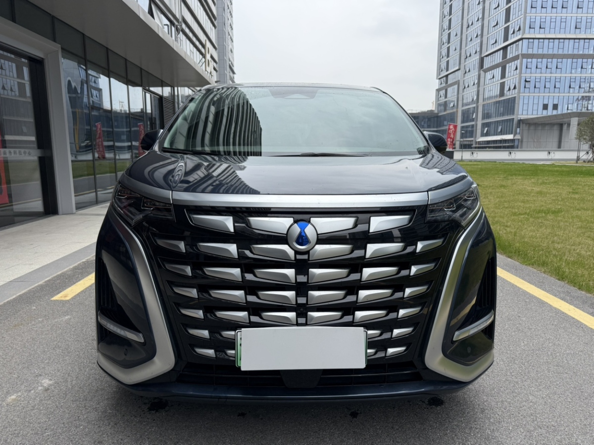 Denza D9 2023 image de voiture #2