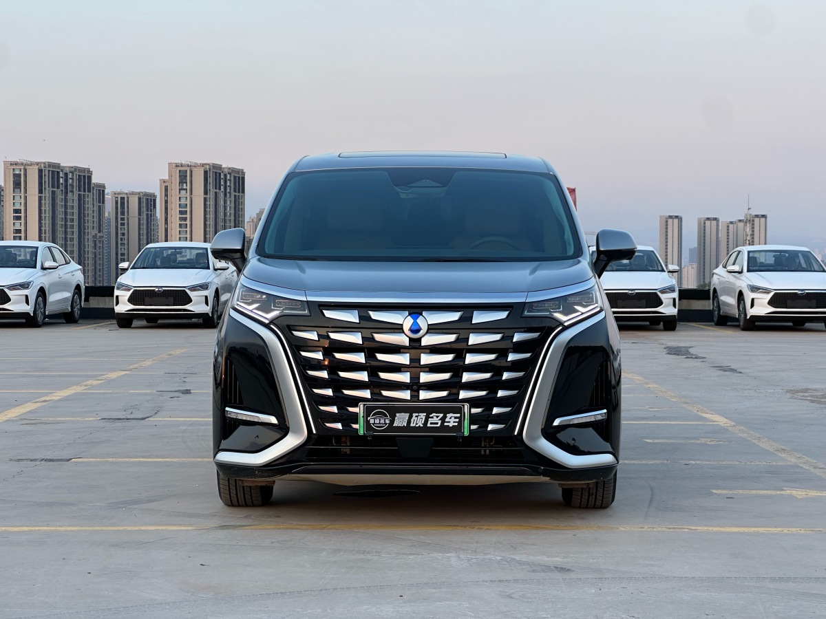 Denza D9 2023 imagem de carro #2