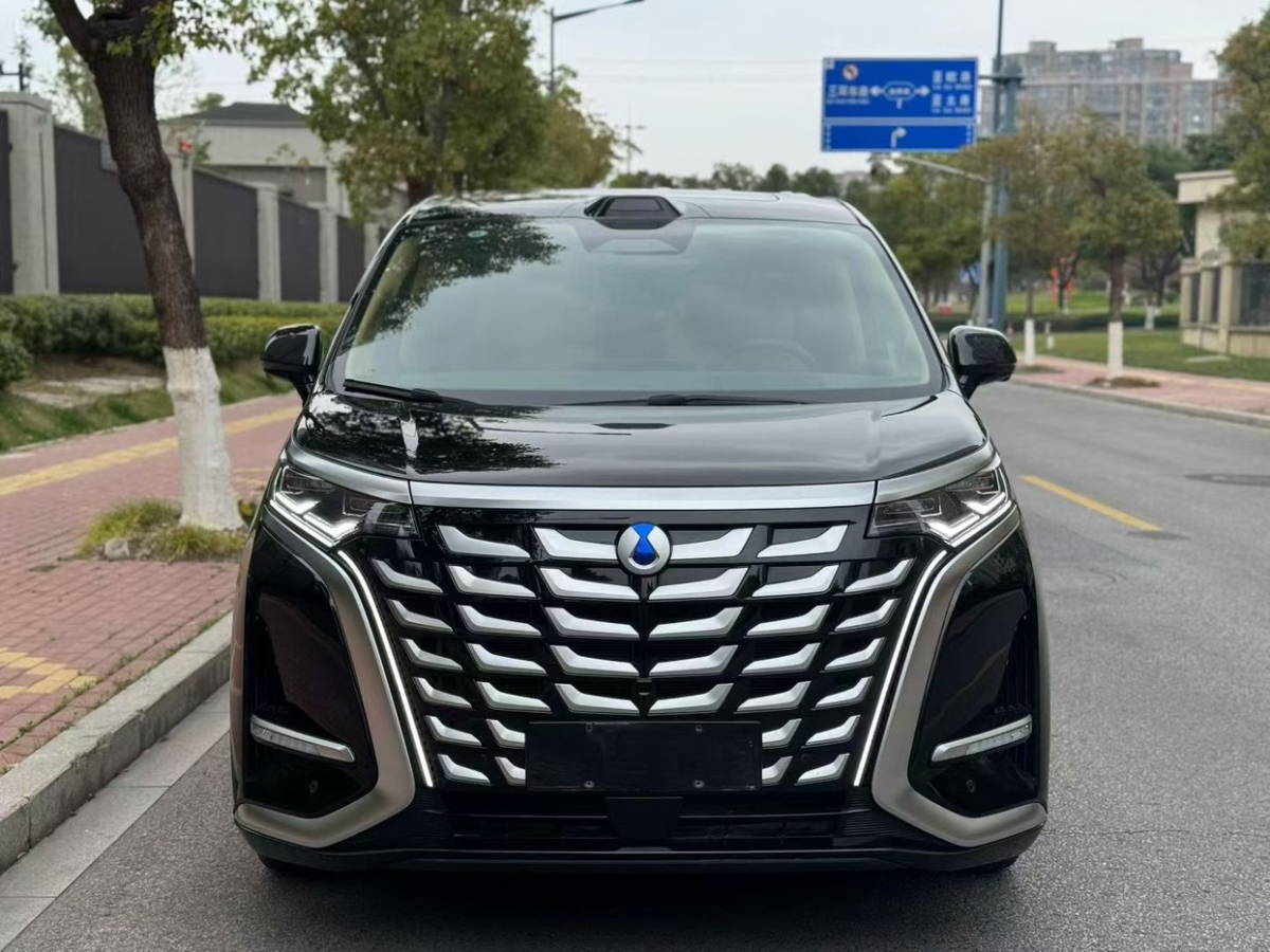 Denza D9 2024 imagen de coche #2