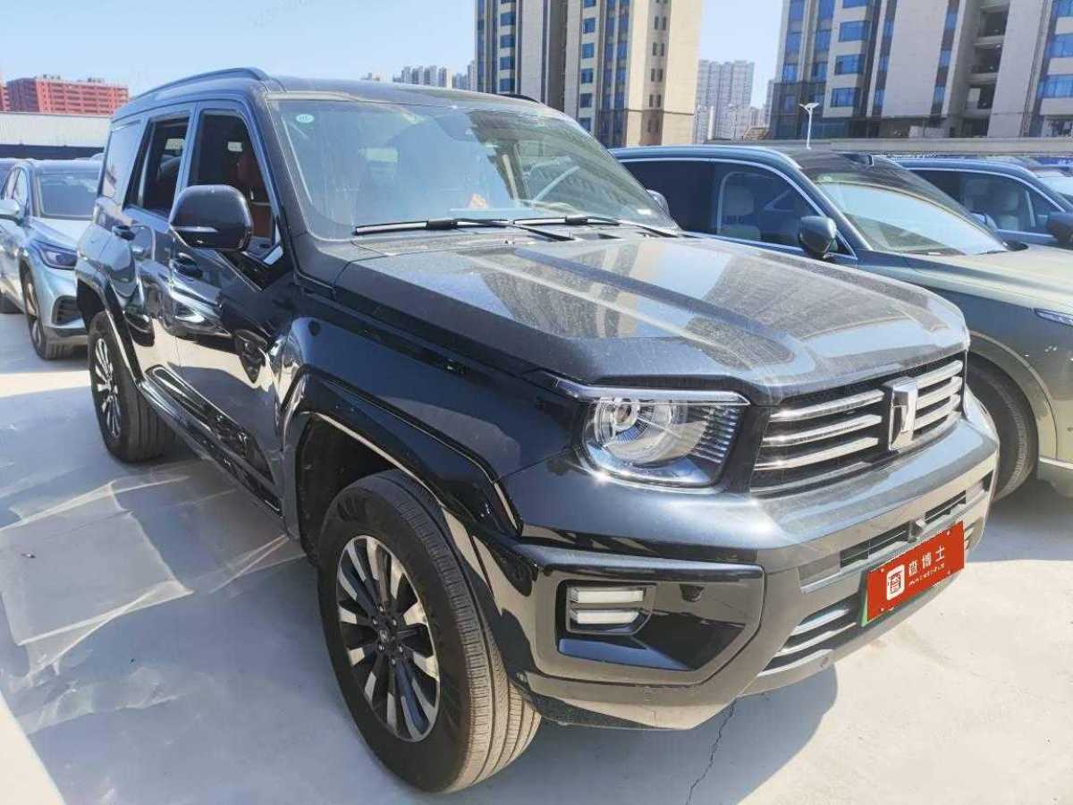 Tank 700 New Energy 2024 imagem de carro #2