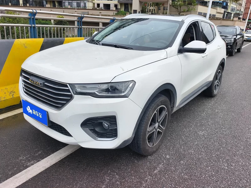 Haval H4 2020 car image #2