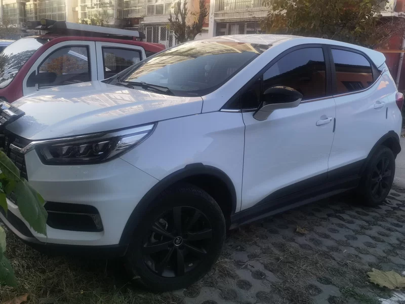 BYD Yuan New Energy 2019 immagine di auto #2