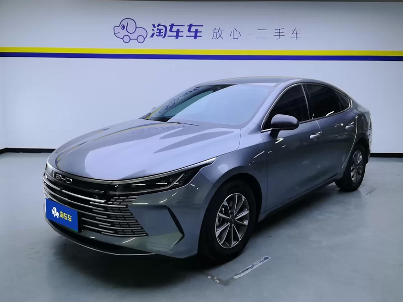 BYD Destroyer 05 2025 car image #2