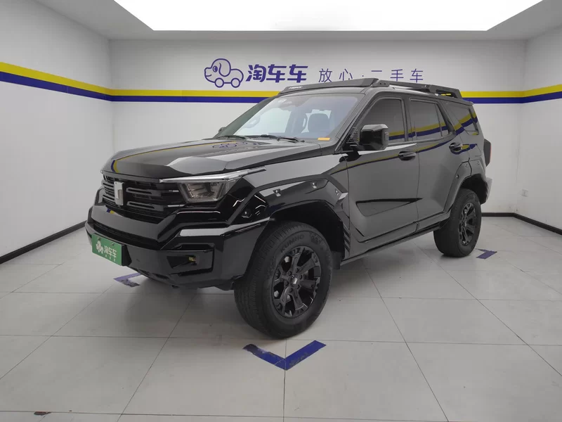 Tank 2024 #2 Tank 2024 car image #2