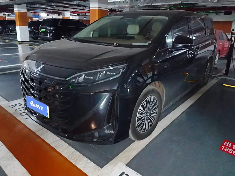 BYD Xia 2024 صورة سيارة #2