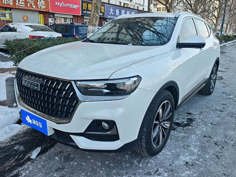 Haval H6 2024 car image #2