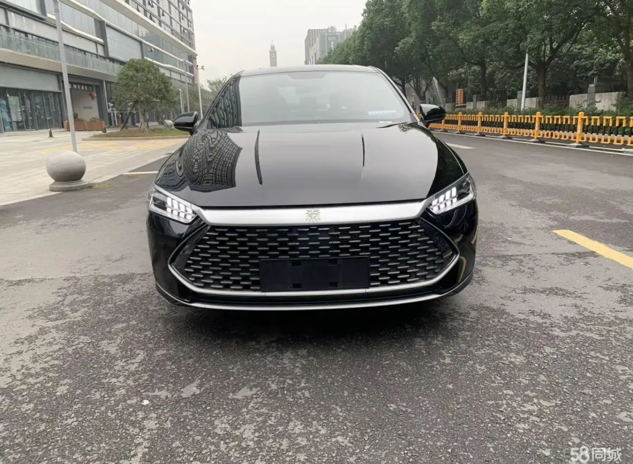 BYD Qin Plus 2023 immagine di auto #2