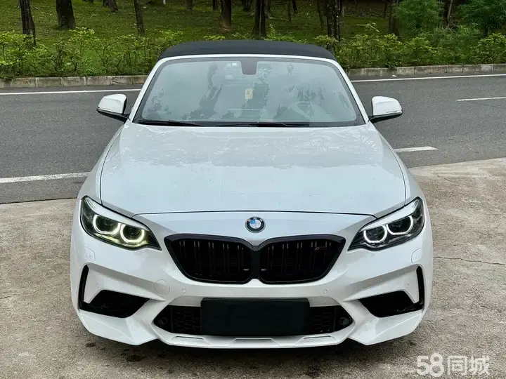 BMW 2 Series (Imported) 2018 car image #2