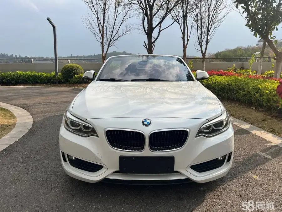 BMW 2 Series (Imported) 2016 #2 BMW 2 Series (Imported) 2016 изображение автомобиля #2