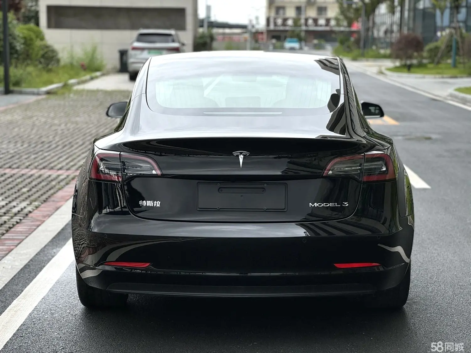 Tesla Model 3 2020 immagine di auto #2