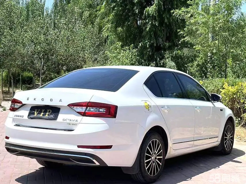 Skoda Octavia 2020 изображение автомобиля #2